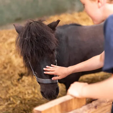 Nordseehof Broemmer Wattenhus