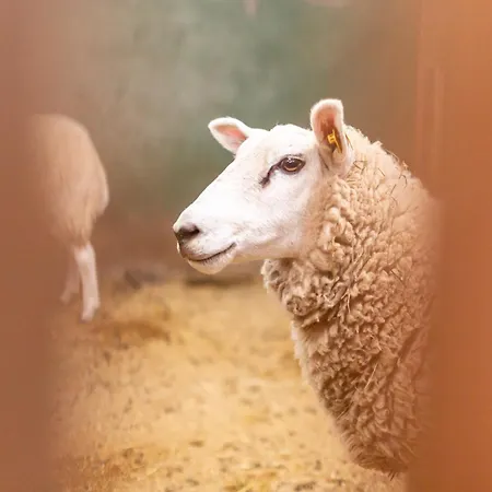 Nordseehof Broemmer Wattenhus * Wremen