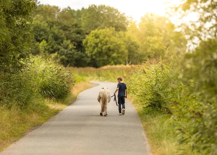 Nordseehof Broemmer Wattenhus Daire Wremen