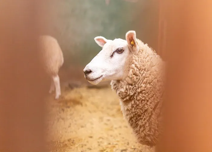 Nordseehof Broemmer Wattenhus * Wremen